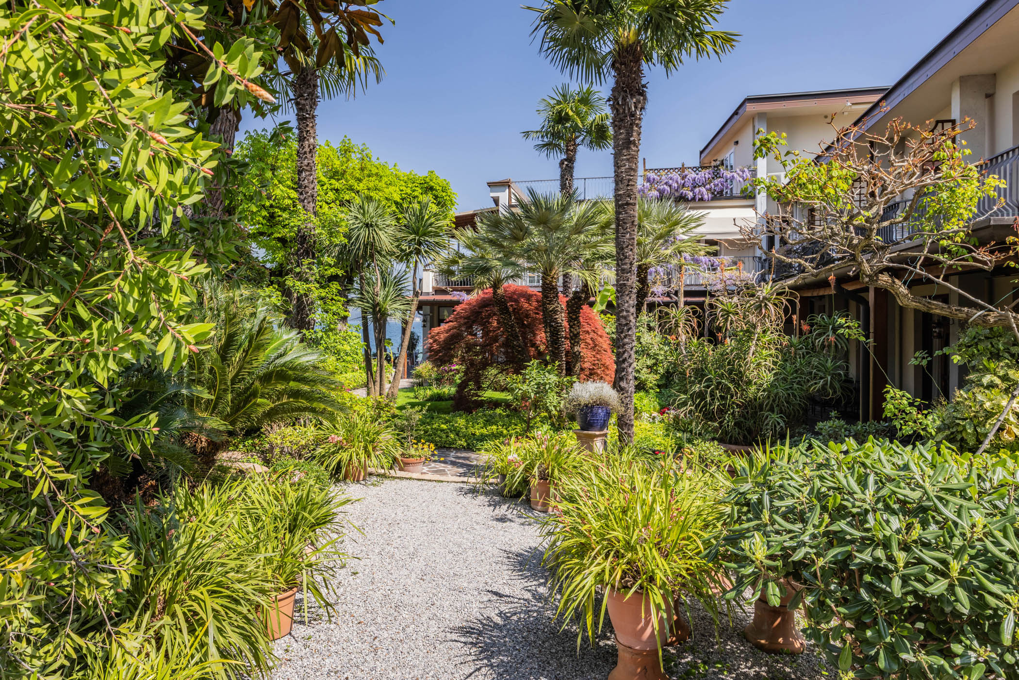 Hotel 1 garden zorzi giardino