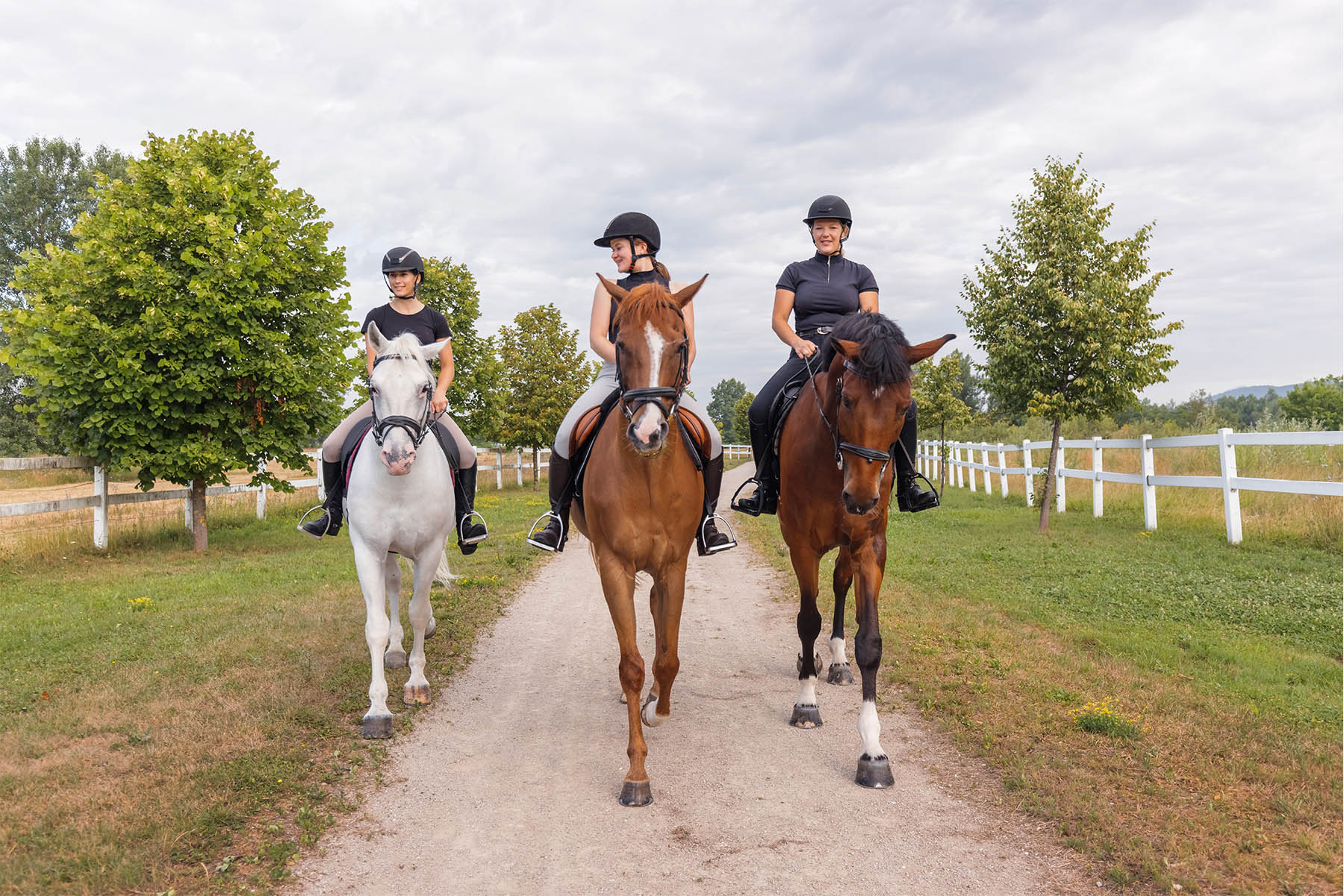 Sport & Outdoor 4 garden zorzi sport equitazione